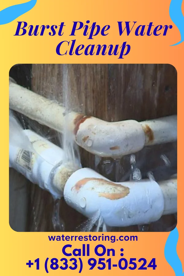Burst Pipe Water Cleanup in University Park, NM