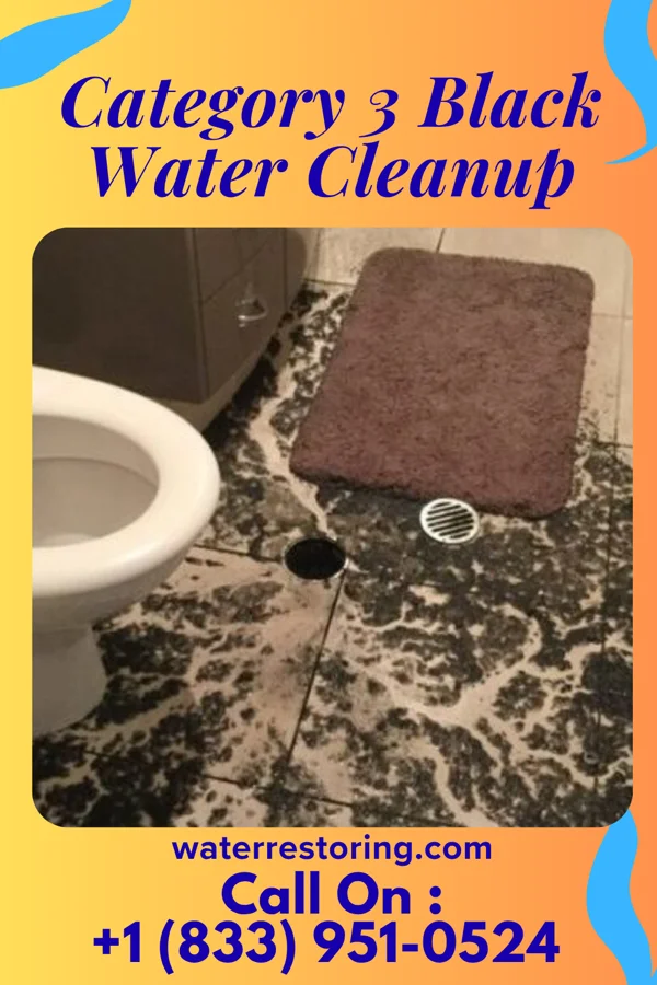 Category 3 Black Water Cleanup in University Park, NM