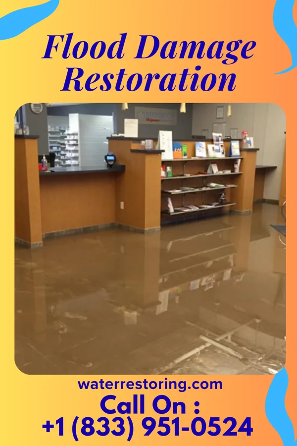 Flood Damage Restoration in University Park, NM