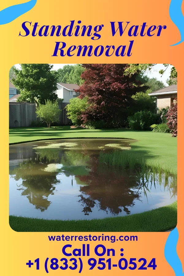 Standing Water Removal in University Park, NM